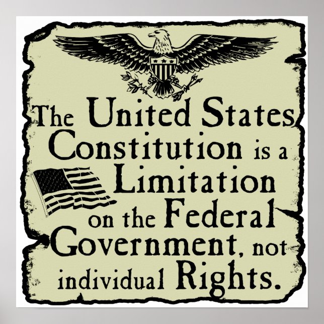 The U.S. Constitution Poster (Front)
