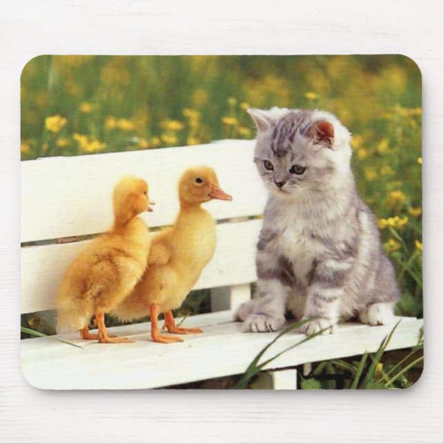 The Ugly Duckling Mousepad (Front)