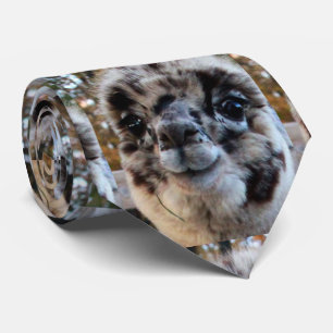 THE ULTIMATE ALPACA NECK TIE