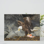 The Ultimate Bald Eagle (Standing Front)