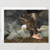 The Ultimate Bald Eagle (Front/Back)