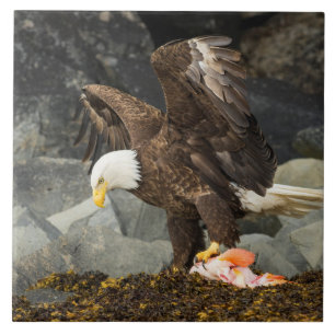 The Ultimate Bald Eagle Ceramic Tile
