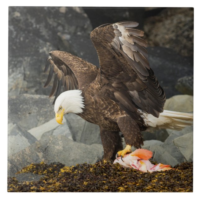 The Ultimate Bald Eagle Ceramic Tile (Front)
