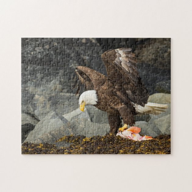 3d pixel puzzle bald eagle