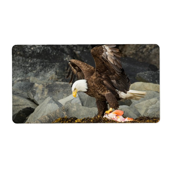 The Ultimate Bald Eagle Label (Front)