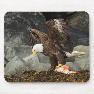 The Ultimate Bald Eagle Mouse Pad