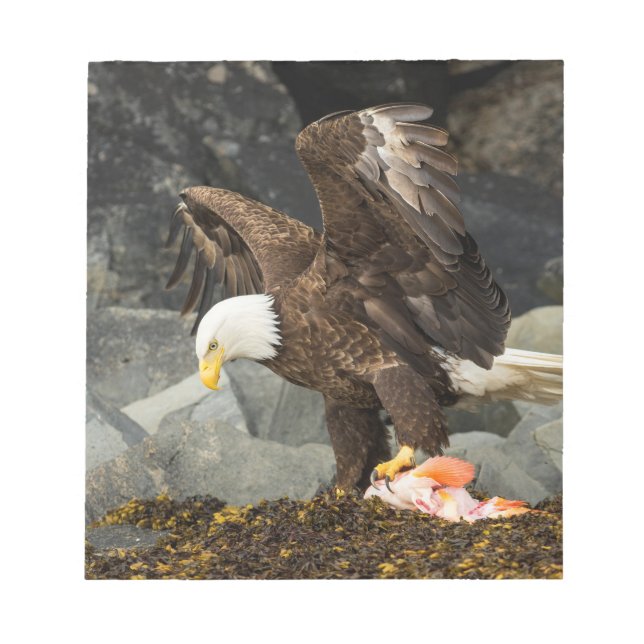 The Ultimate Bald Eagle Notepad (Front)