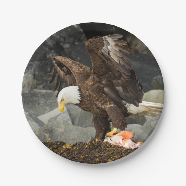 The Ultimate Bald Eagle Paper Plates (Front)