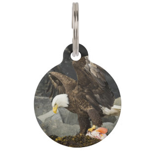 The Ultimate Bald Eagle Pet ID Tag