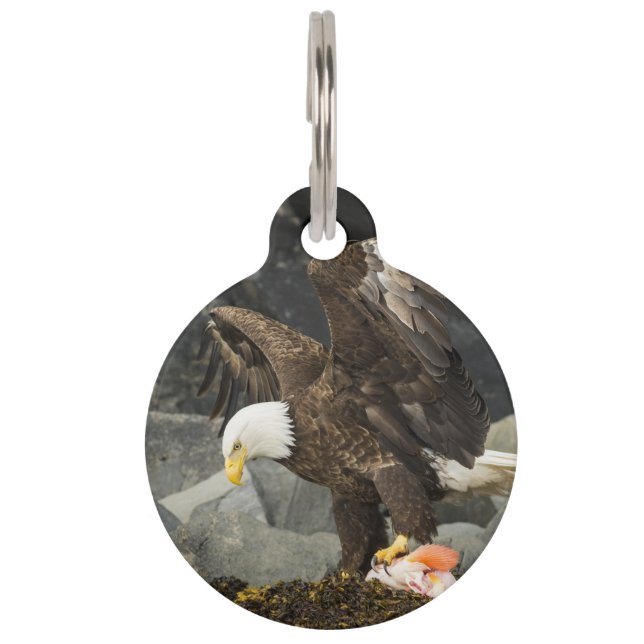 The Ultimate Bald Eagle Pet ID Tag (Front)