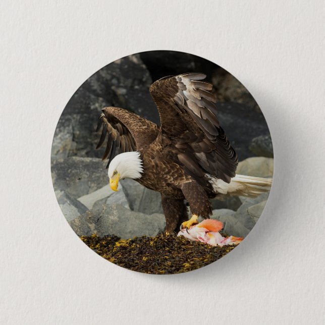 The Ultimate Bald Eagle Pinback Button (Front)