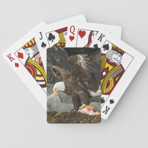 The Ultimate Bald Eagle Poker Cards