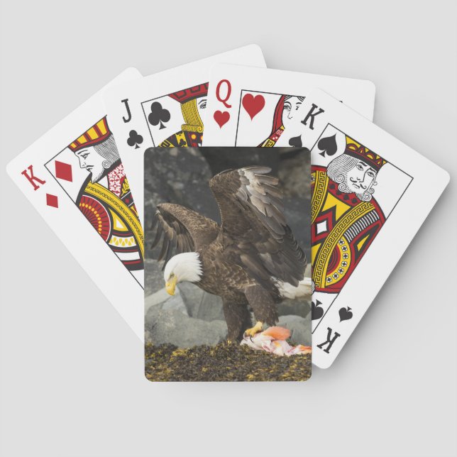 The Ultimate Bald Eagle Poker Cards (Back)