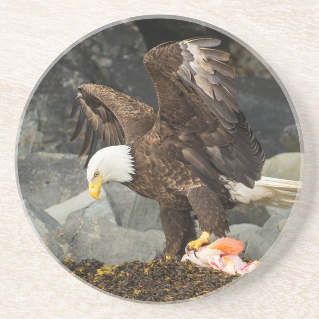The Ultimate Bald Eagle Sandstone Coaster (Front)