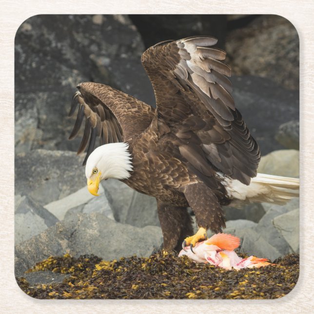 The Ultimate Bald Eagle Square Paper Coaster (Front)