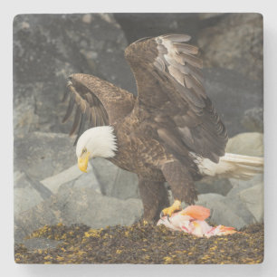 The Ultimate Bald Eagle Stone Coaster