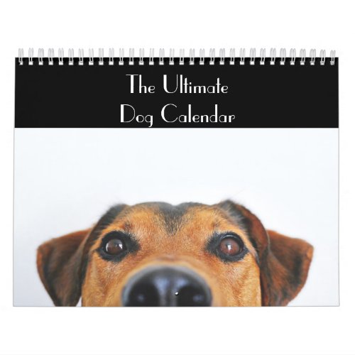 The Ultimate Dog Calendar