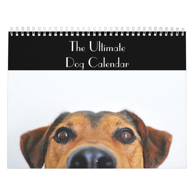 The Ultimate Dog Calendar  Zazzle.com