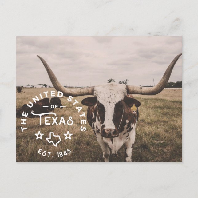 The United States of Texas Postcard (Front)