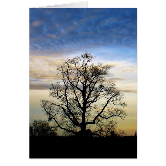 The Universal Tree Cards (Front)