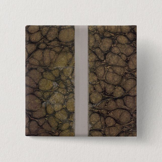 The Universe Atlas Classic Covers Pinback Button (Front)