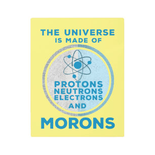 The Universe is made of morons Metal Print