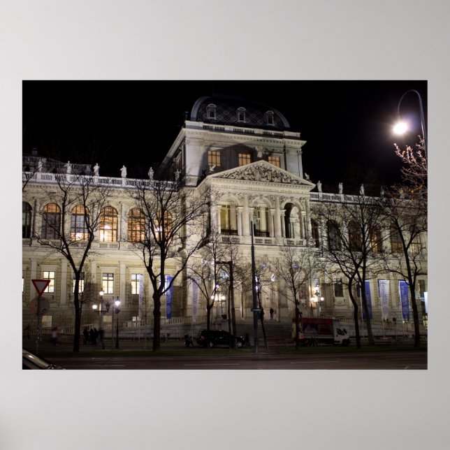 The University In Vienna Austria Poster (Front)