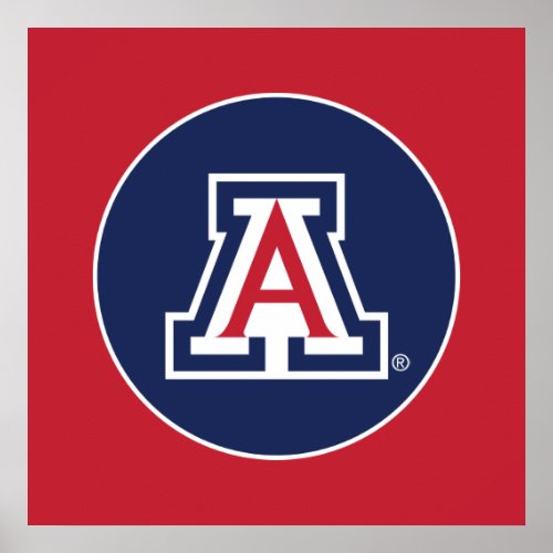 The University of Arizona  A Poster
