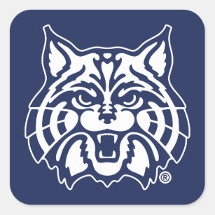 The University of Arizona   AZ Wildcat Square Sticker