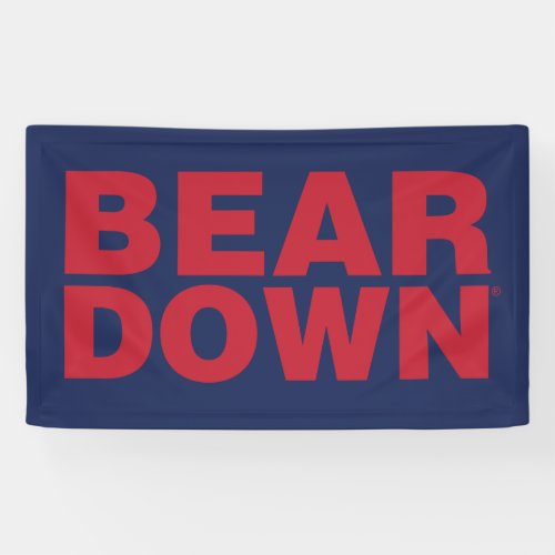 The University of Arizona  Bear Down Banner