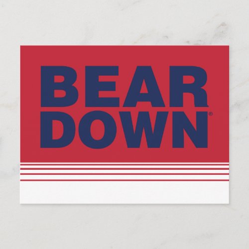 The University of Arizona  Bear Down Postcard
