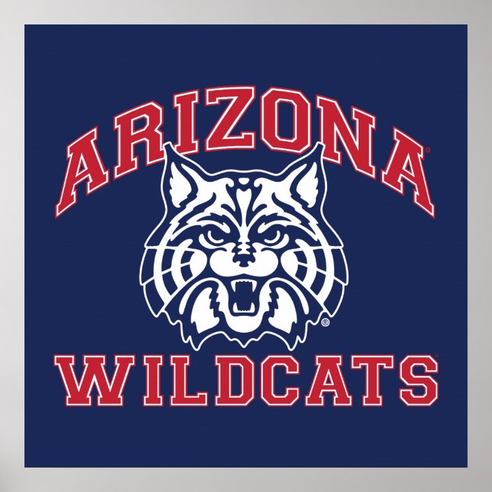 The University of Arizona | Wildcats Poster | Zazzle.com