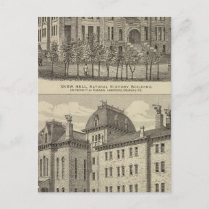 The University of Kansas Postcard