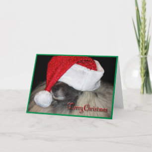 The Unknown Santa Paws greeting card! Holiday Card