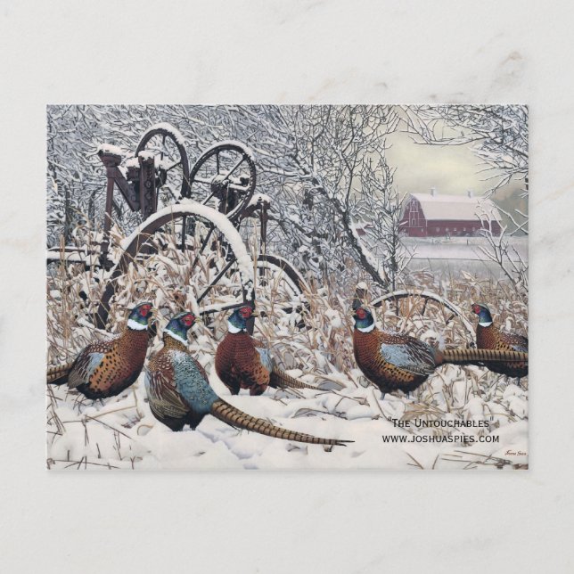 "The Untouchables" by Joshua Spies Postcard (Front)