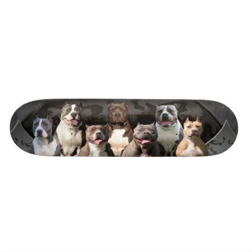 The Untouchables - Pitbull Champion Series Skateboard Deck | Zazzle