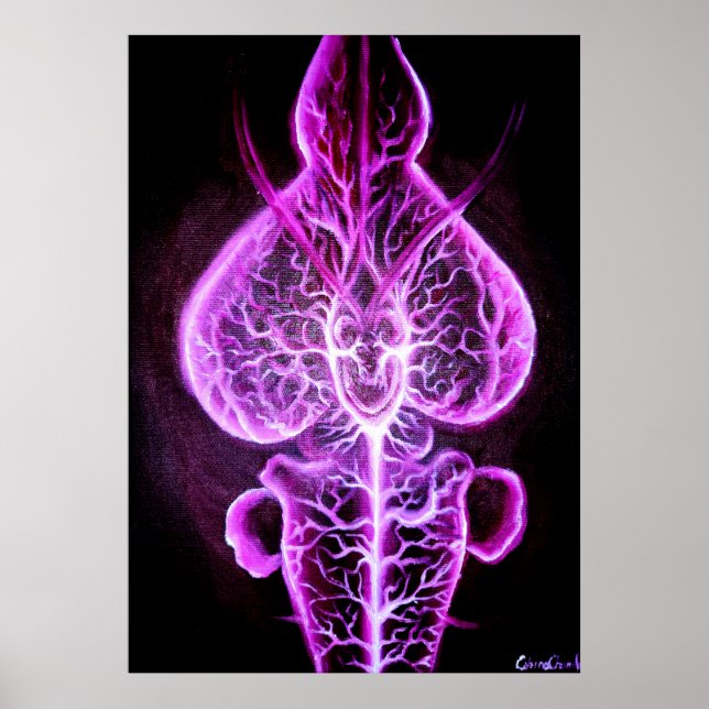 The vascularisation of the nervous system in roden poster (Front)