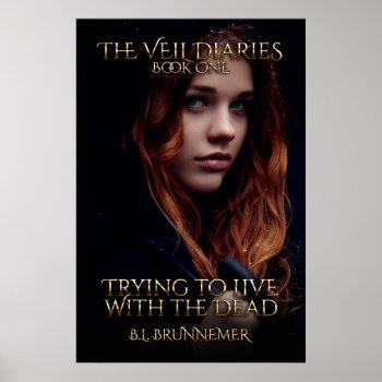The Veil Diaries Book I Poster by TheVeilDiaries at Zazzle