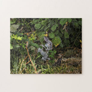 The Velveteen Rabbit Puzzle