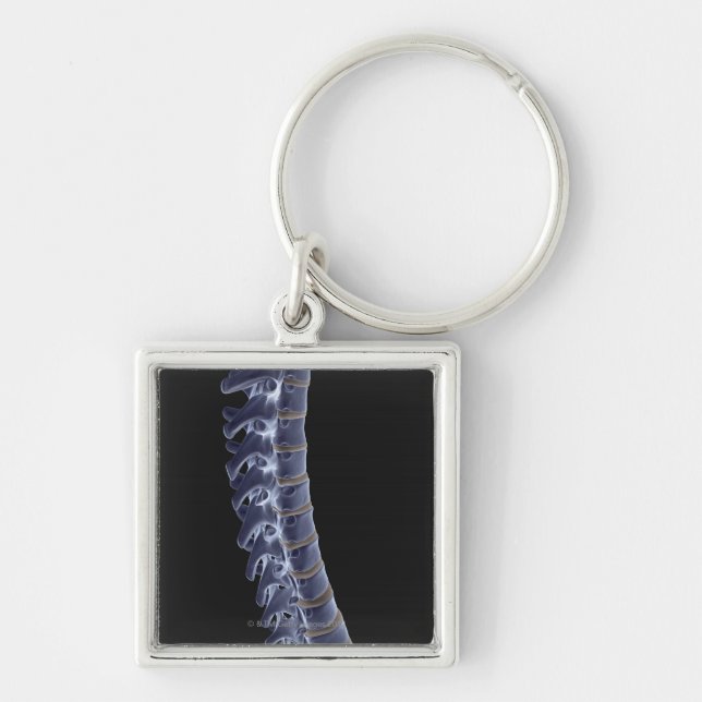 The Vertebral Column 3 Keychain (Front)