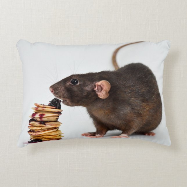 The Very Hungry Rat Accent Pillow (Front)