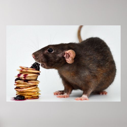 The very hungry rat poster