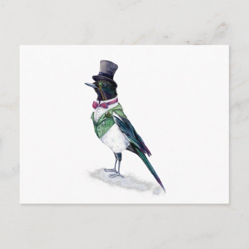 The Victorian Magpie Bird Postcard