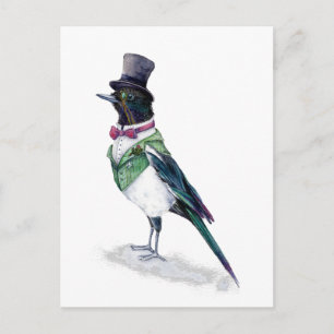 The Victorian Magpie Bird Postcard