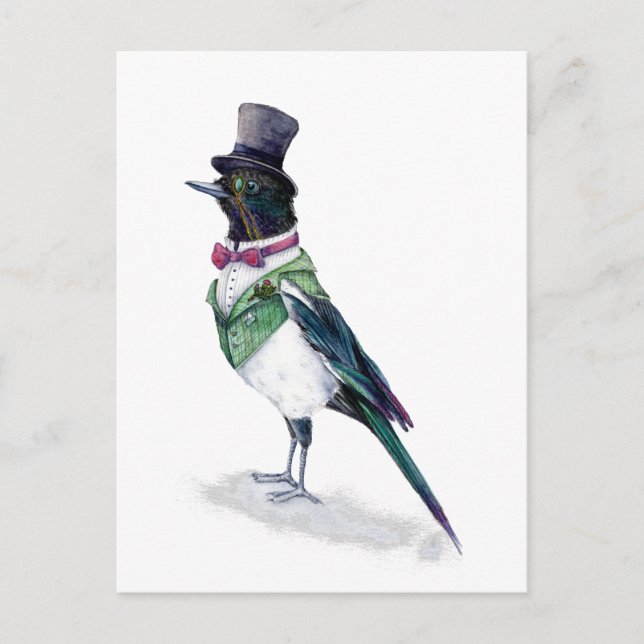 The Victorian Magpie Bird Postcard (Front)