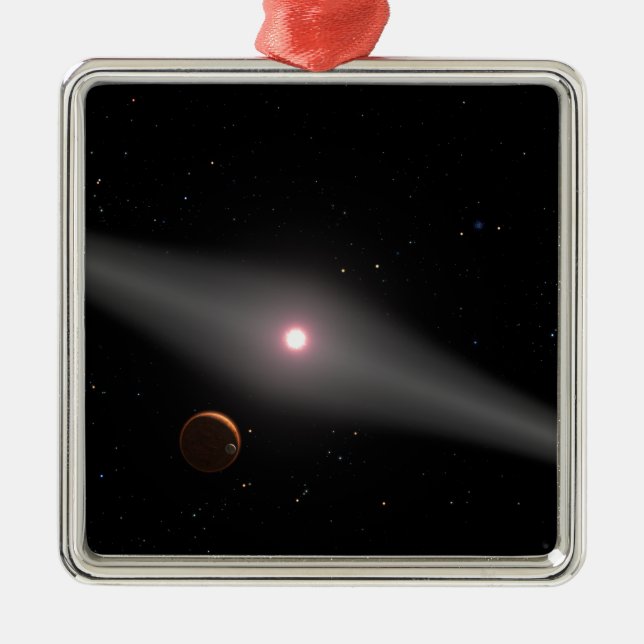 The view from the vicinity metal ornament (Front)