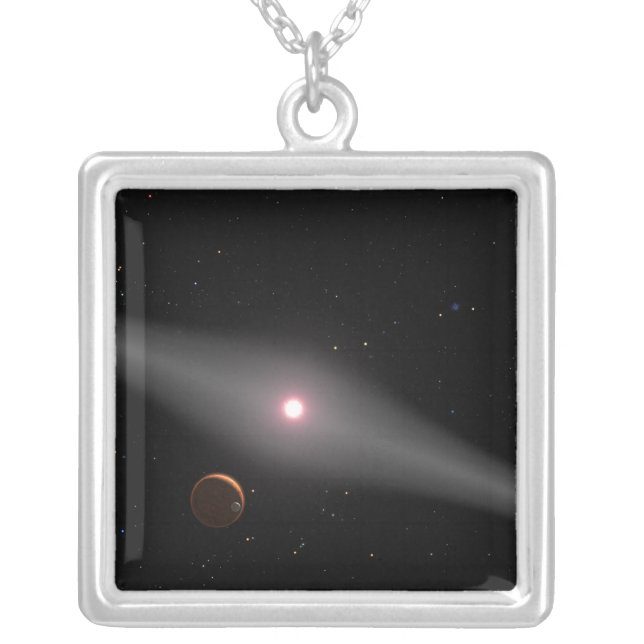 The view from the vicinity silver plated necklace (Front)