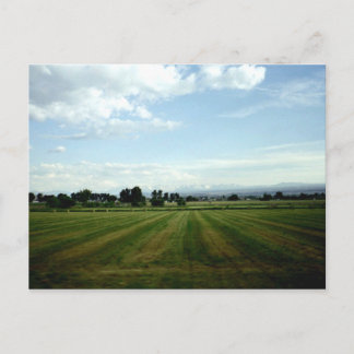 The View Postcard
