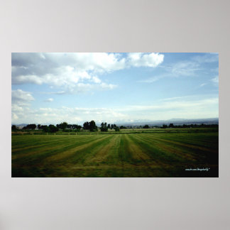 The View Poster