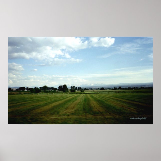 The View Poster (Front)